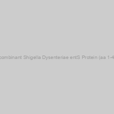 Image of Recombinant Shigella Dysenteriae entS Protein (aa 1-416)